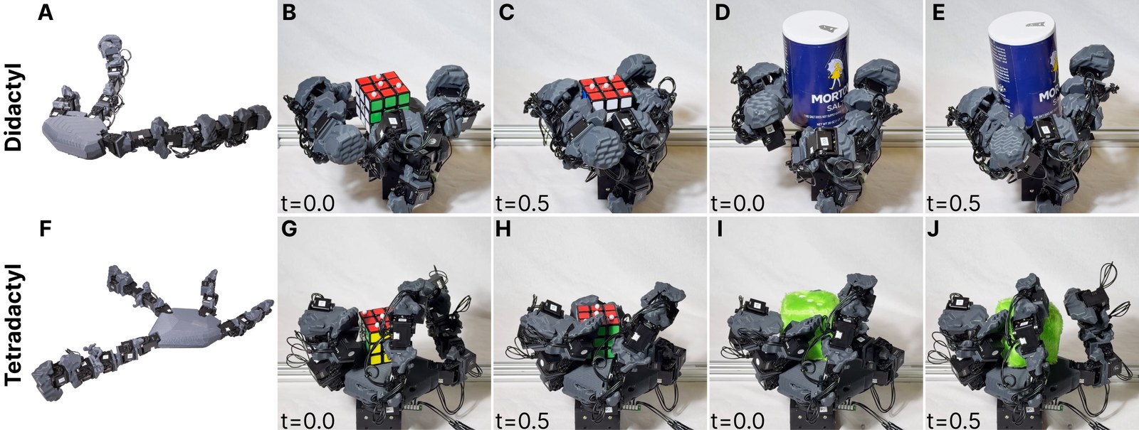 Two evolved rotators
