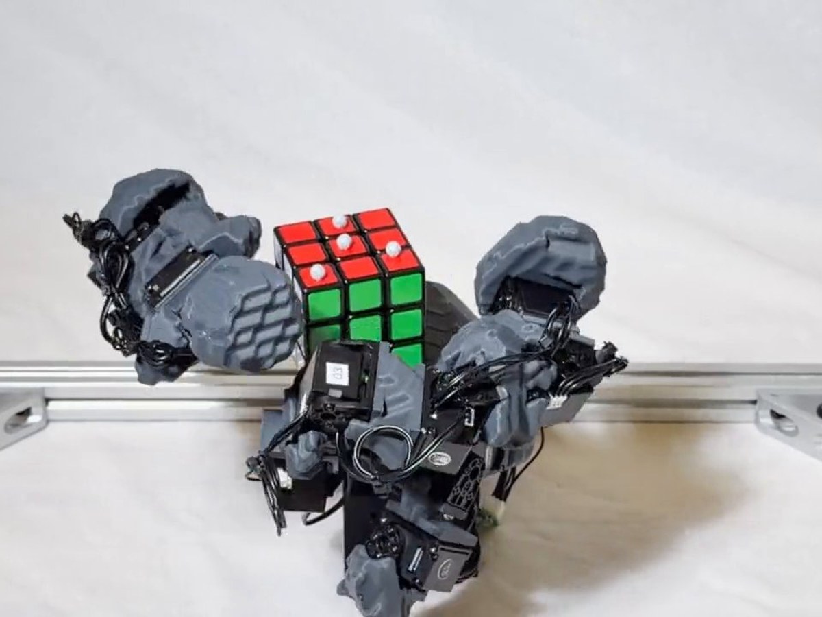Deploy: the printed rotator tested in the real world